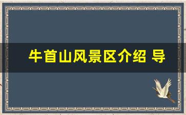 牛首山风景区介绍 导览_牛首山拍照的禁忌